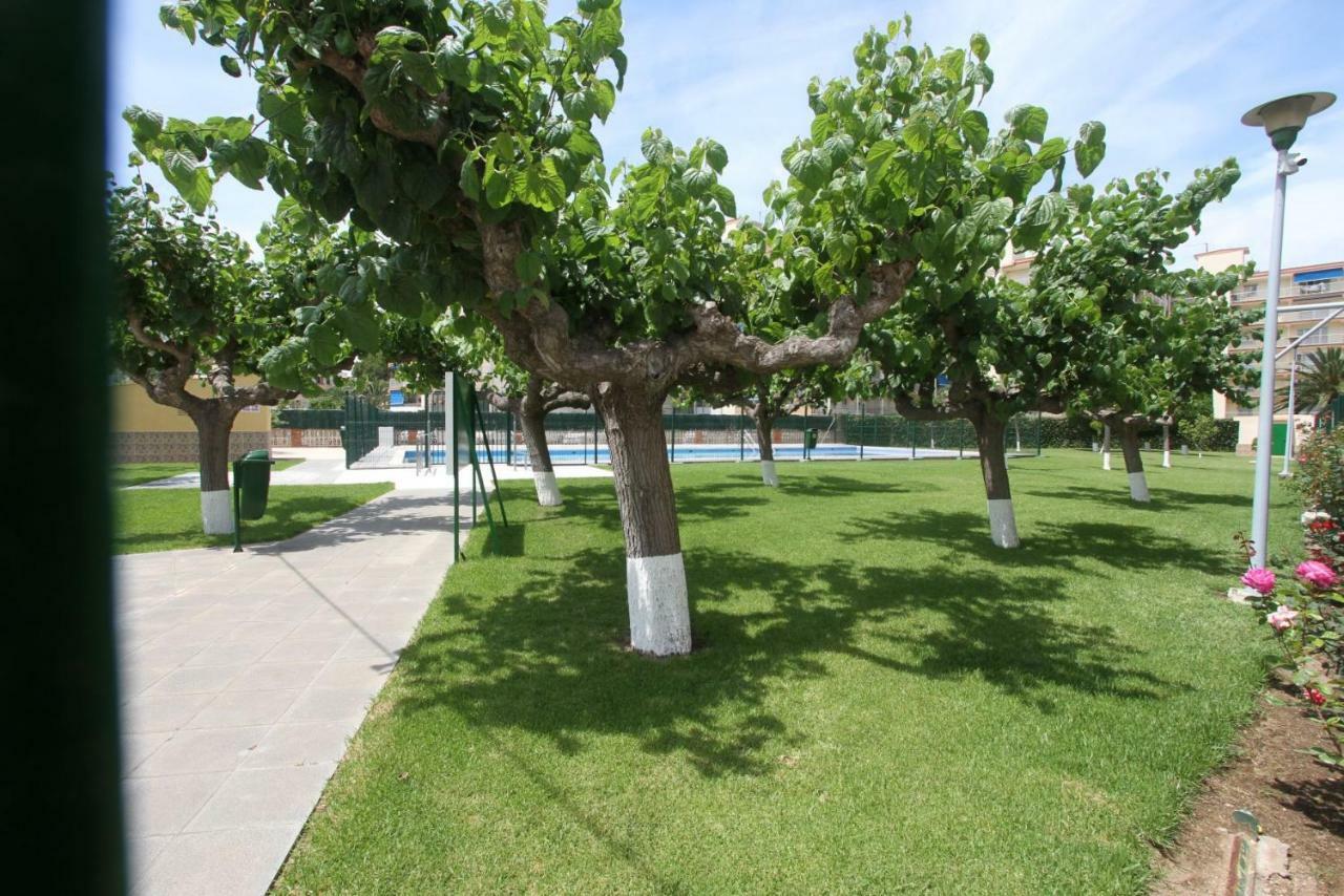 Ferienwohnung Carrer De Victoria Dels Angels, 11 La Pineda Exterior foto